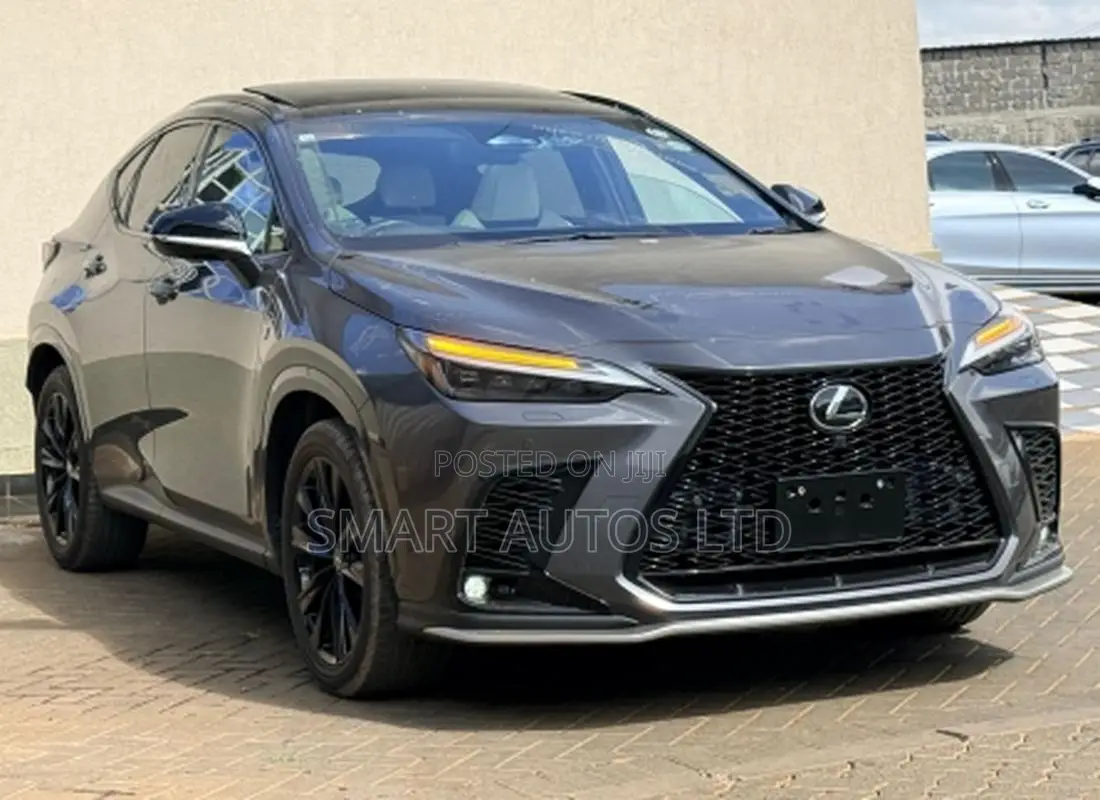 Lexus NX 2022 Gray