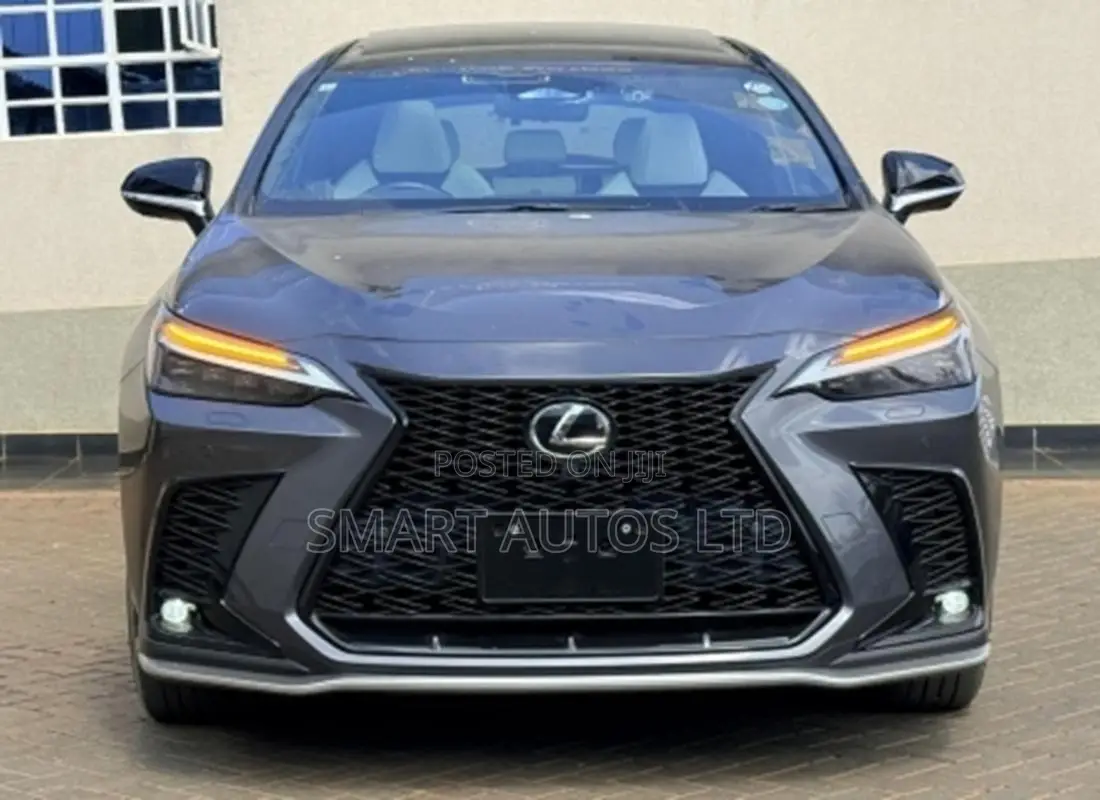 Lexus NX 2022 Gray