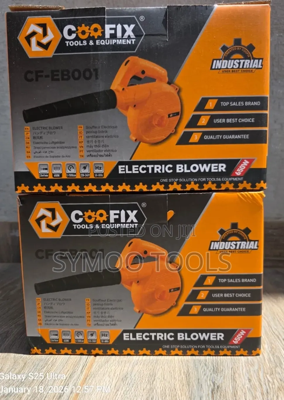 Coofix 650W Electric Blower