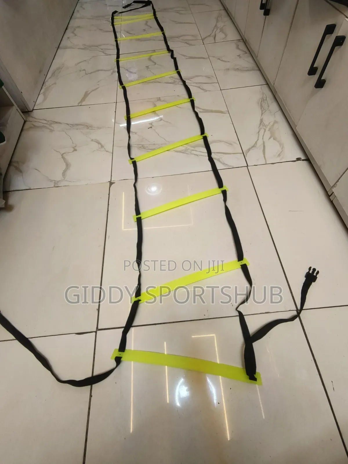 Fitness Ladder