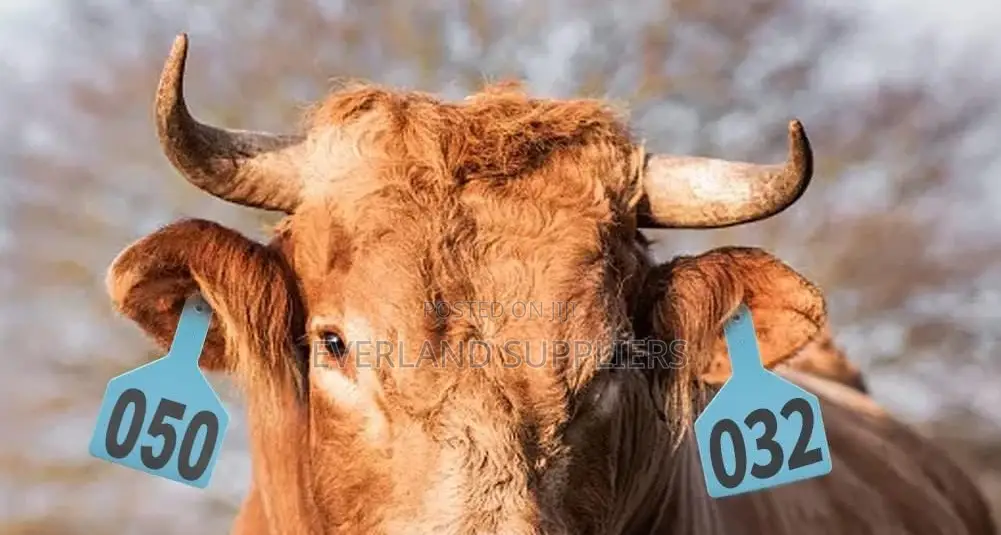 Large Numbered Livestock Marked Ear Z- Tags