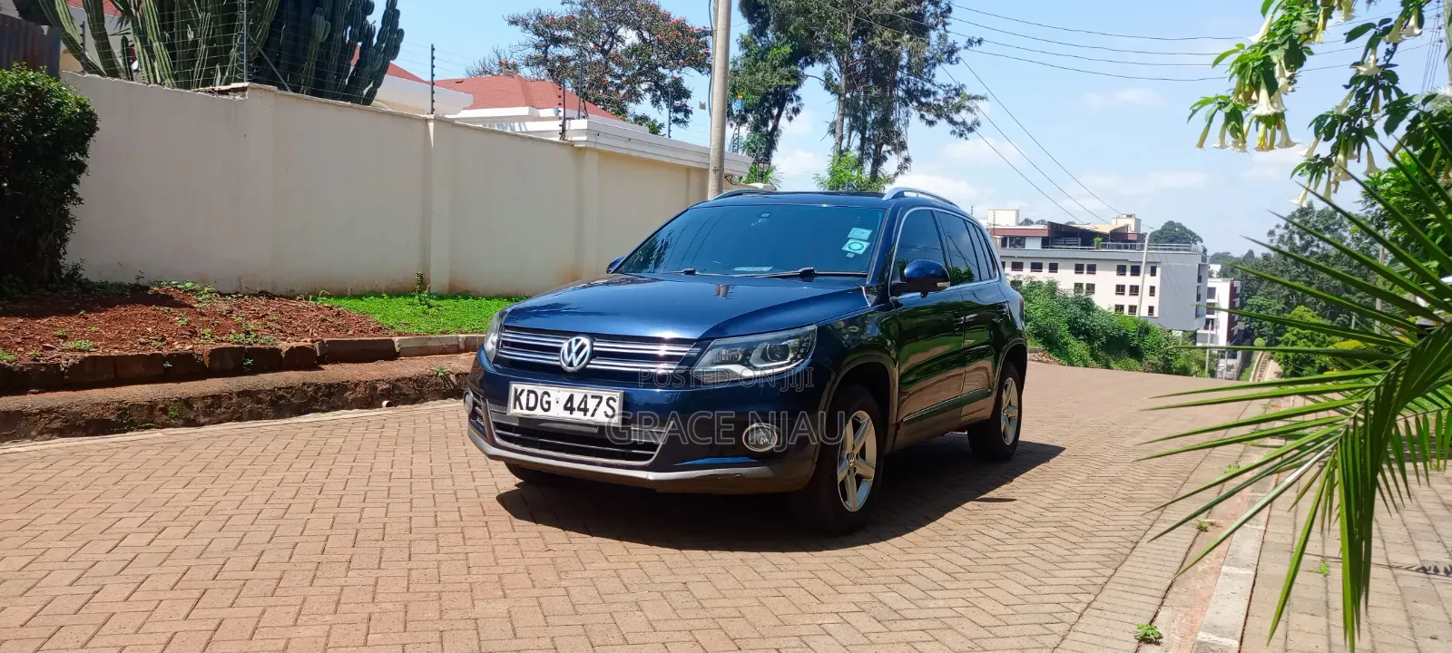 Volkswagen Tiguan 2014 Blue