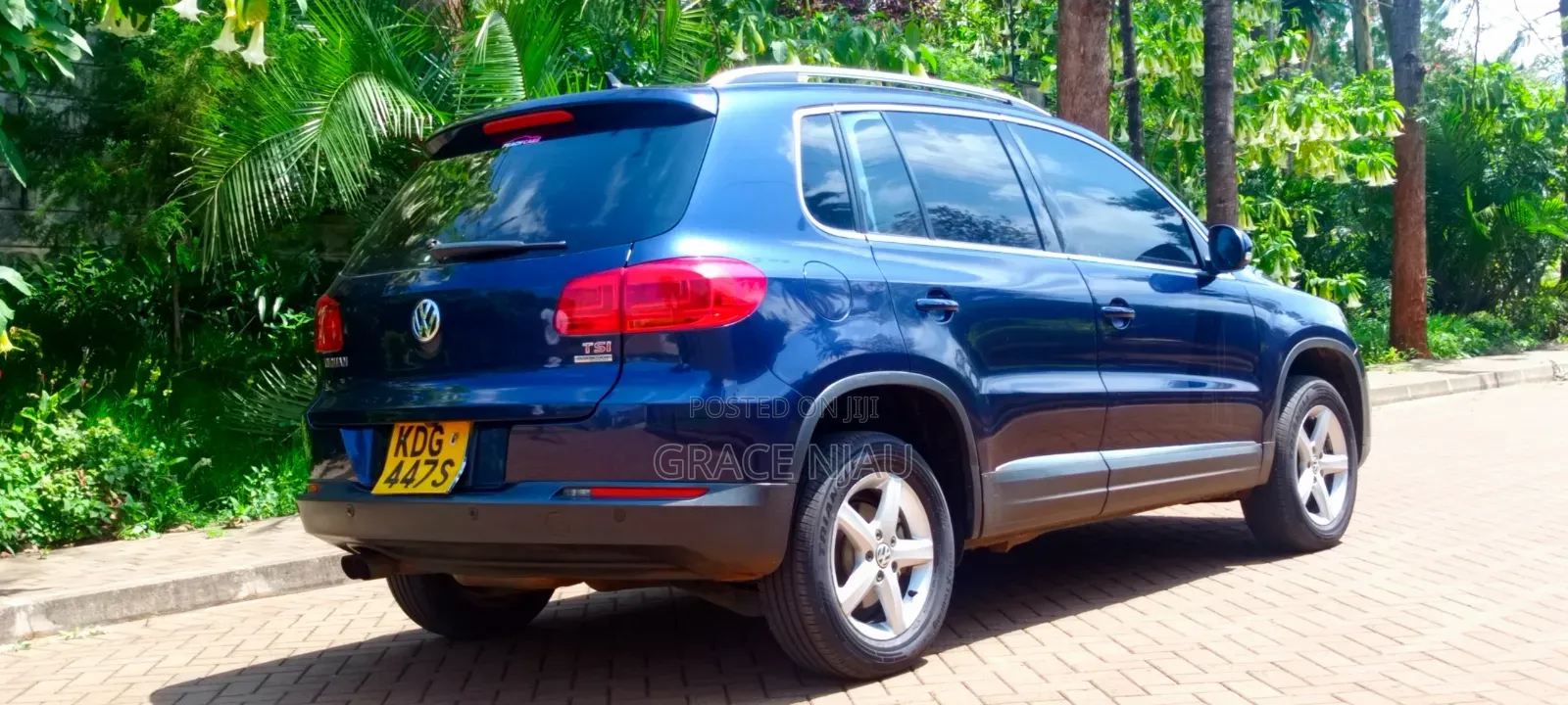 Volkswagen Tiguan 2014 Blue
