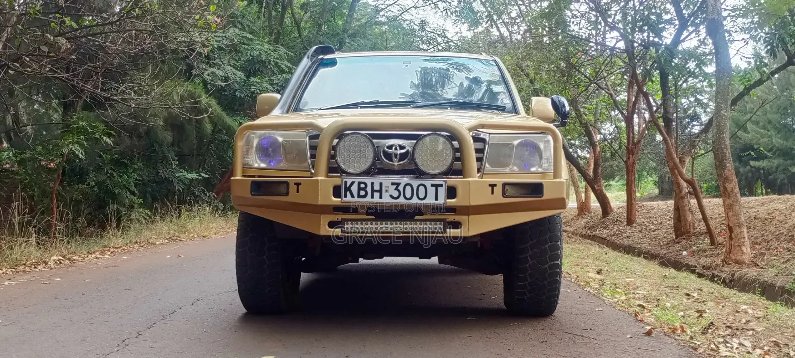Toyota Land Cruiser 2003 Gold
