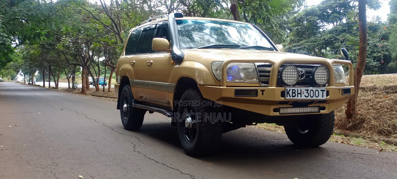 Toyota Land Cruiser 2003 Gold