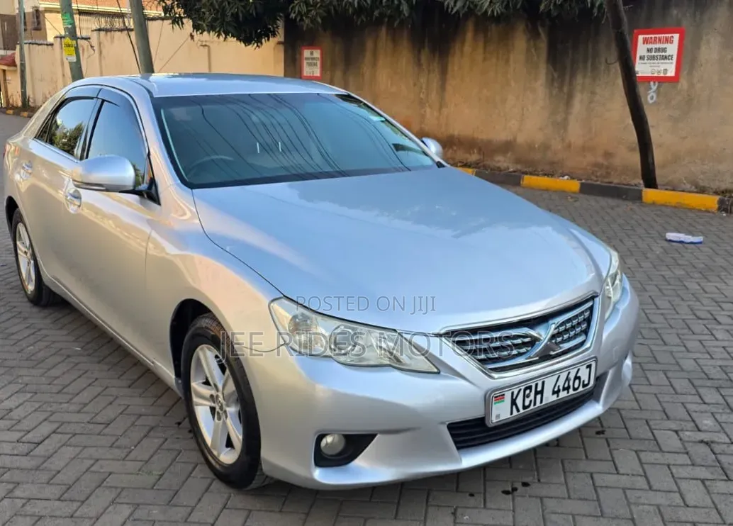 Toyota Mark X 2009 Silver
