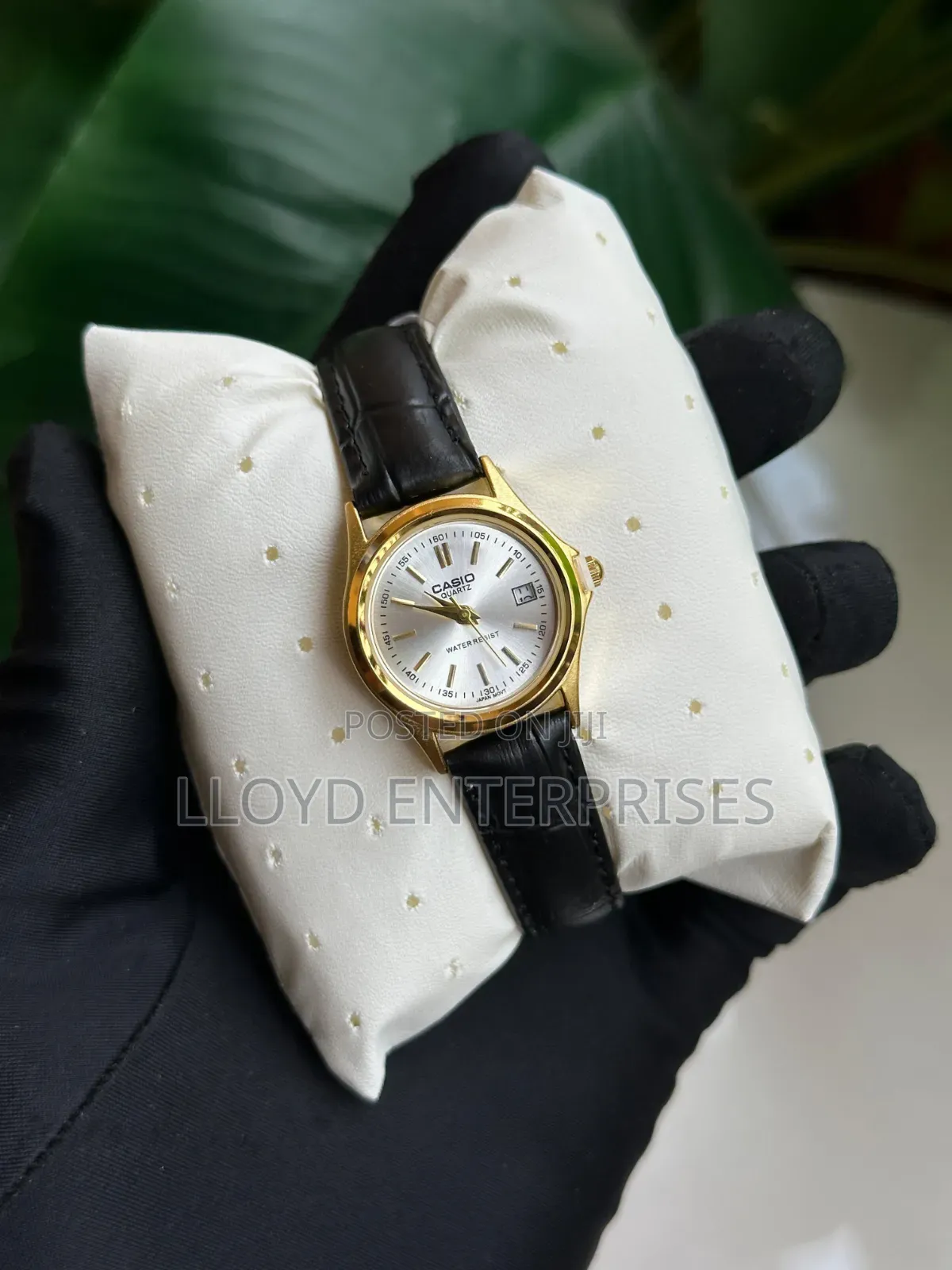 🕰⌚casio Ladies Watch