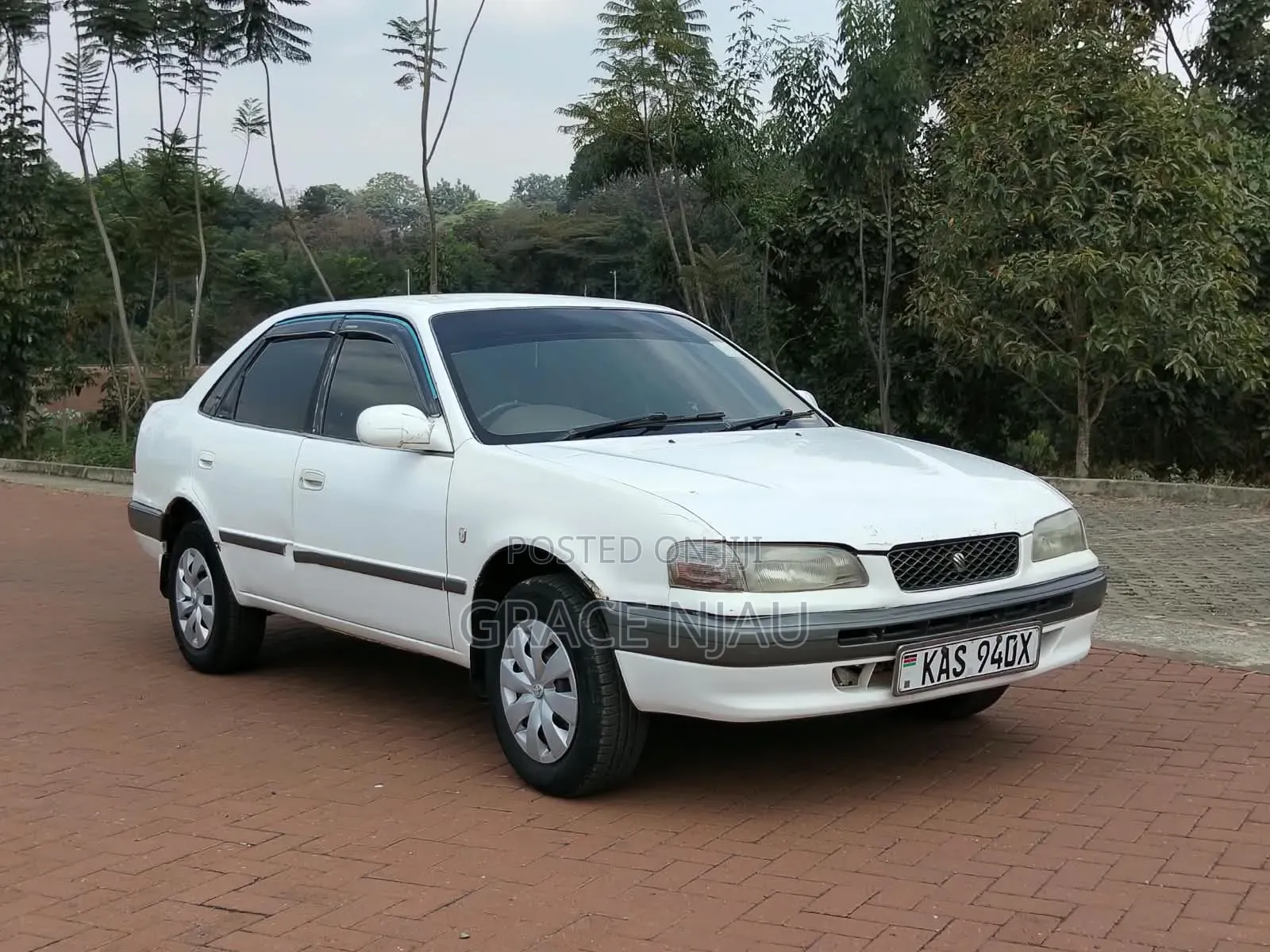 Toyota Sprinter 1998 White