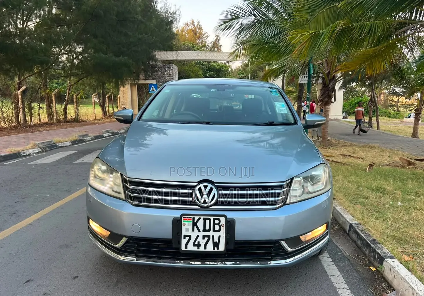 Volkswagen Passat 2013 Blue