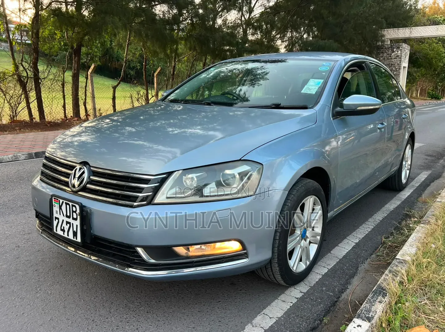 Volkswagen Passat 2013 Blue
