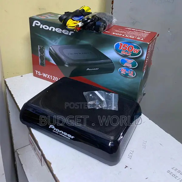 150W Powerful Designed TS-WX120A Amplified Subwoofer