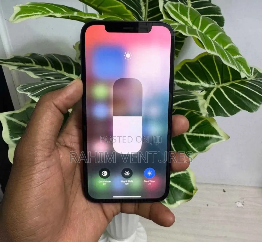 Apple iPhone 12 256 GB