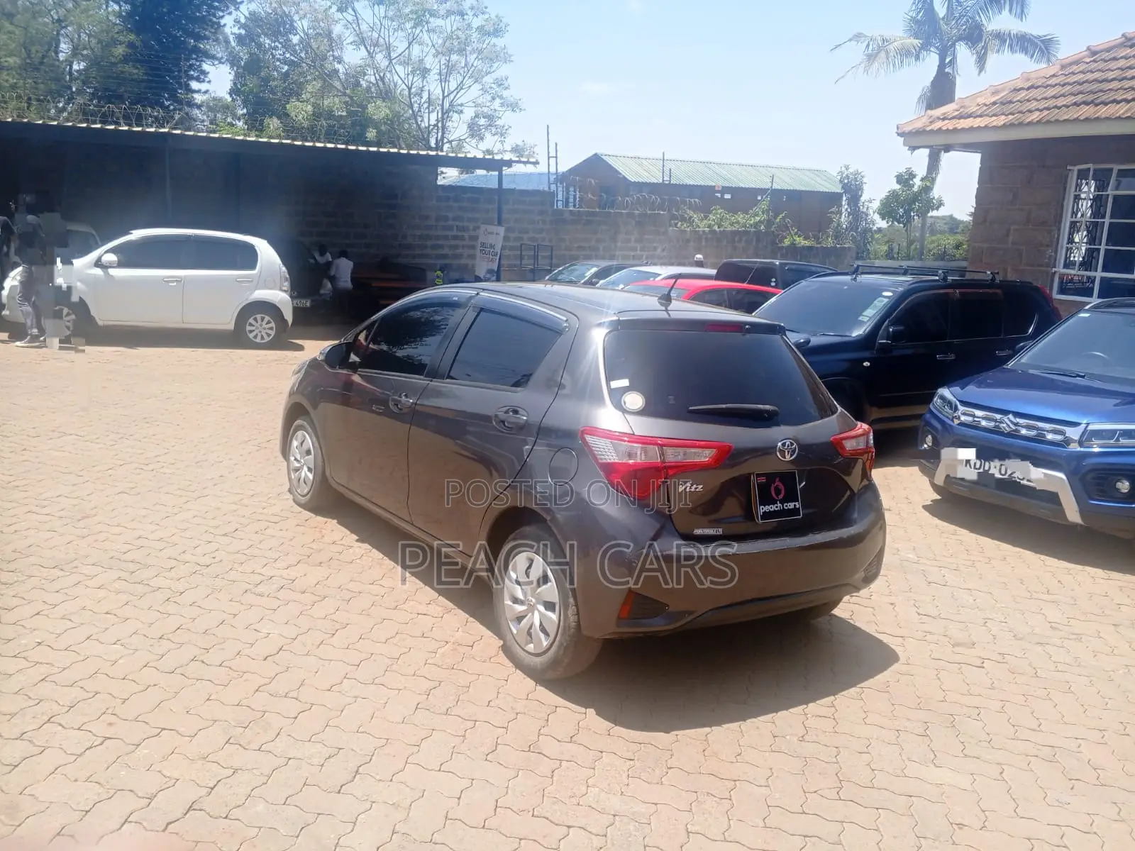 Toyota Vitz 2019 Gray