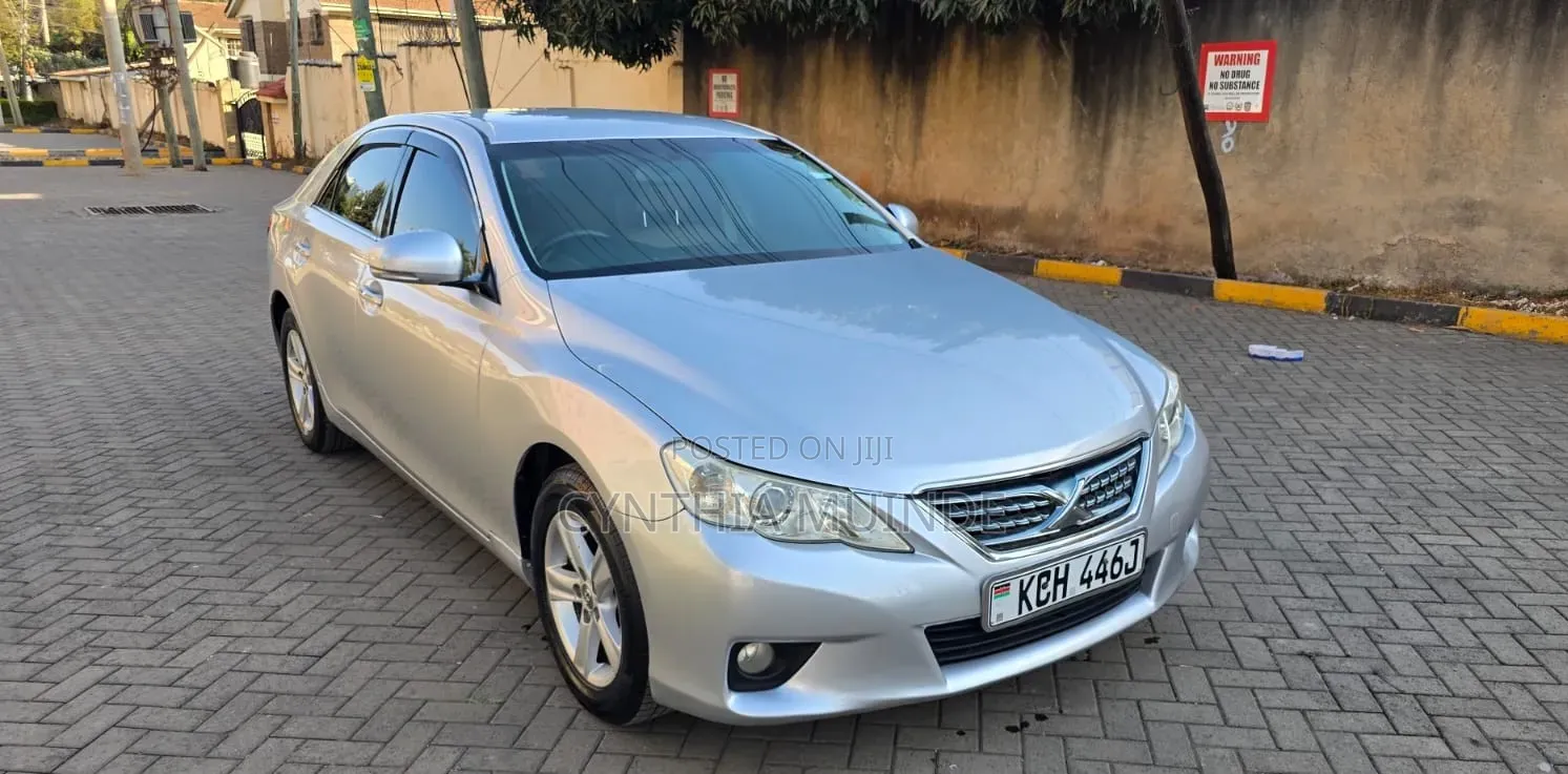 Toyota Mark X 2009 Silver