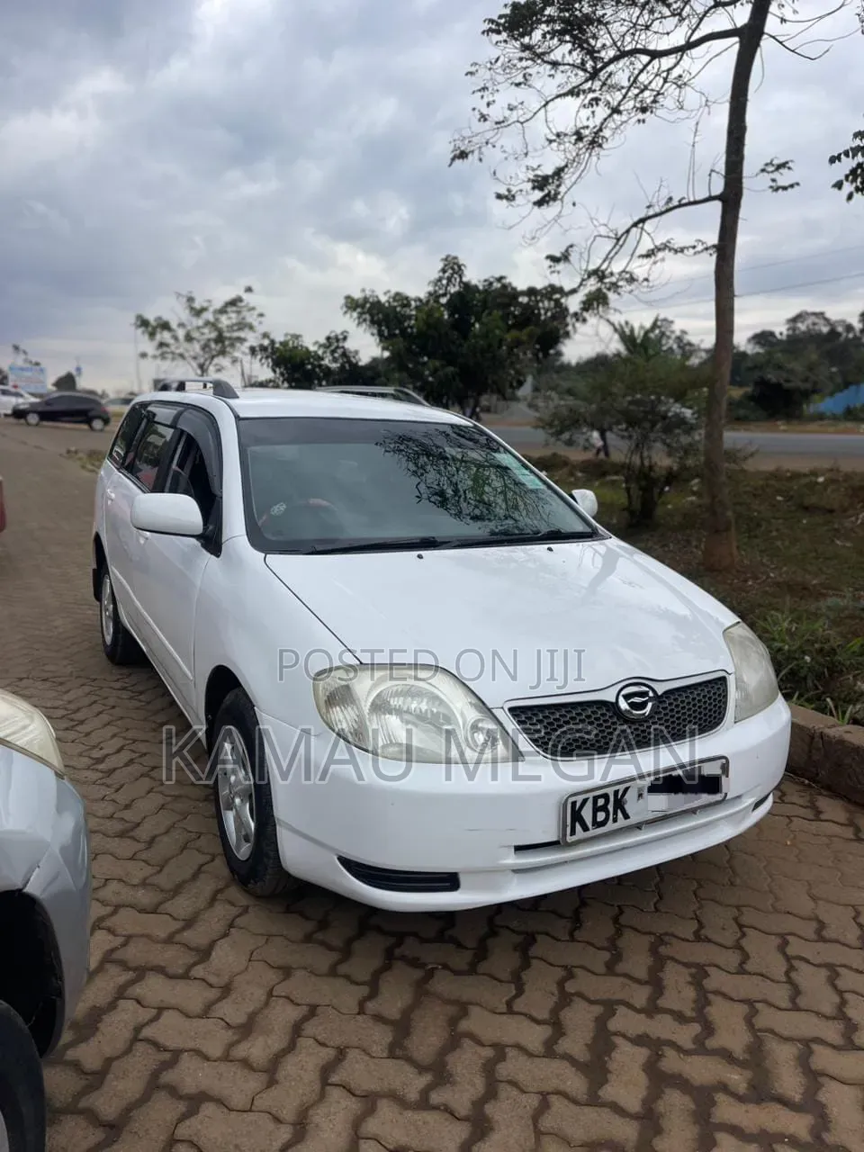 Toyota Corolla Fielder 2006 White