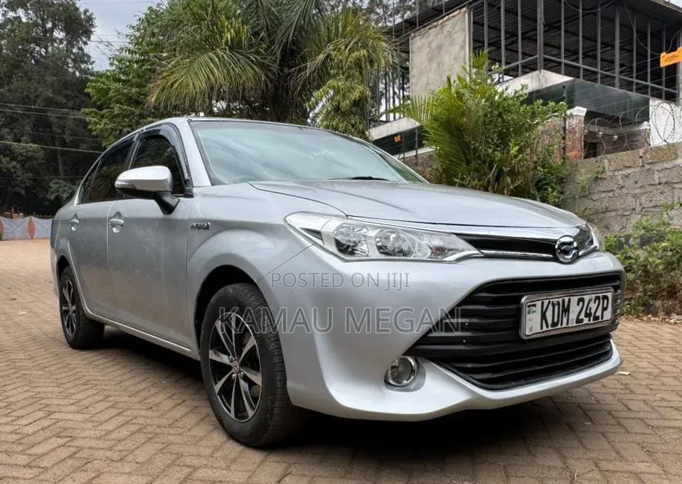 Toyota Axio 1.5 G 2WD 2016 Gray