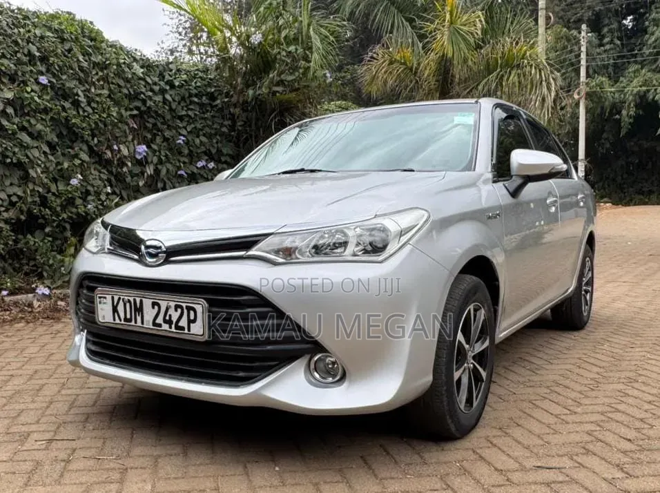 Toyota Axio 1.5 G 2WD 2016 Gray