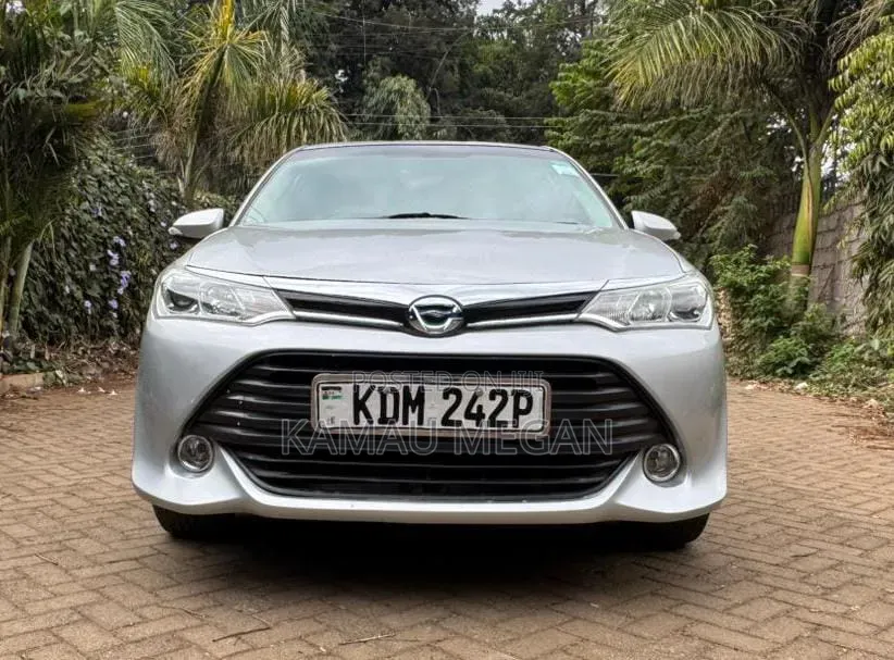 Toyota Axio 1.5 G 2WD 2016 Gray