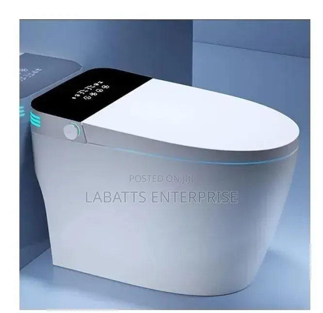 Bolesi Smart Toilet