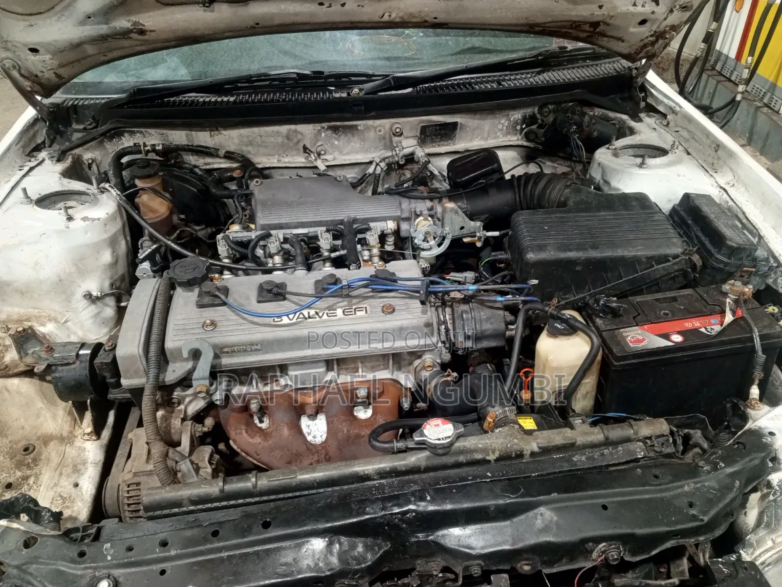 Toyota Corolla 1996 White