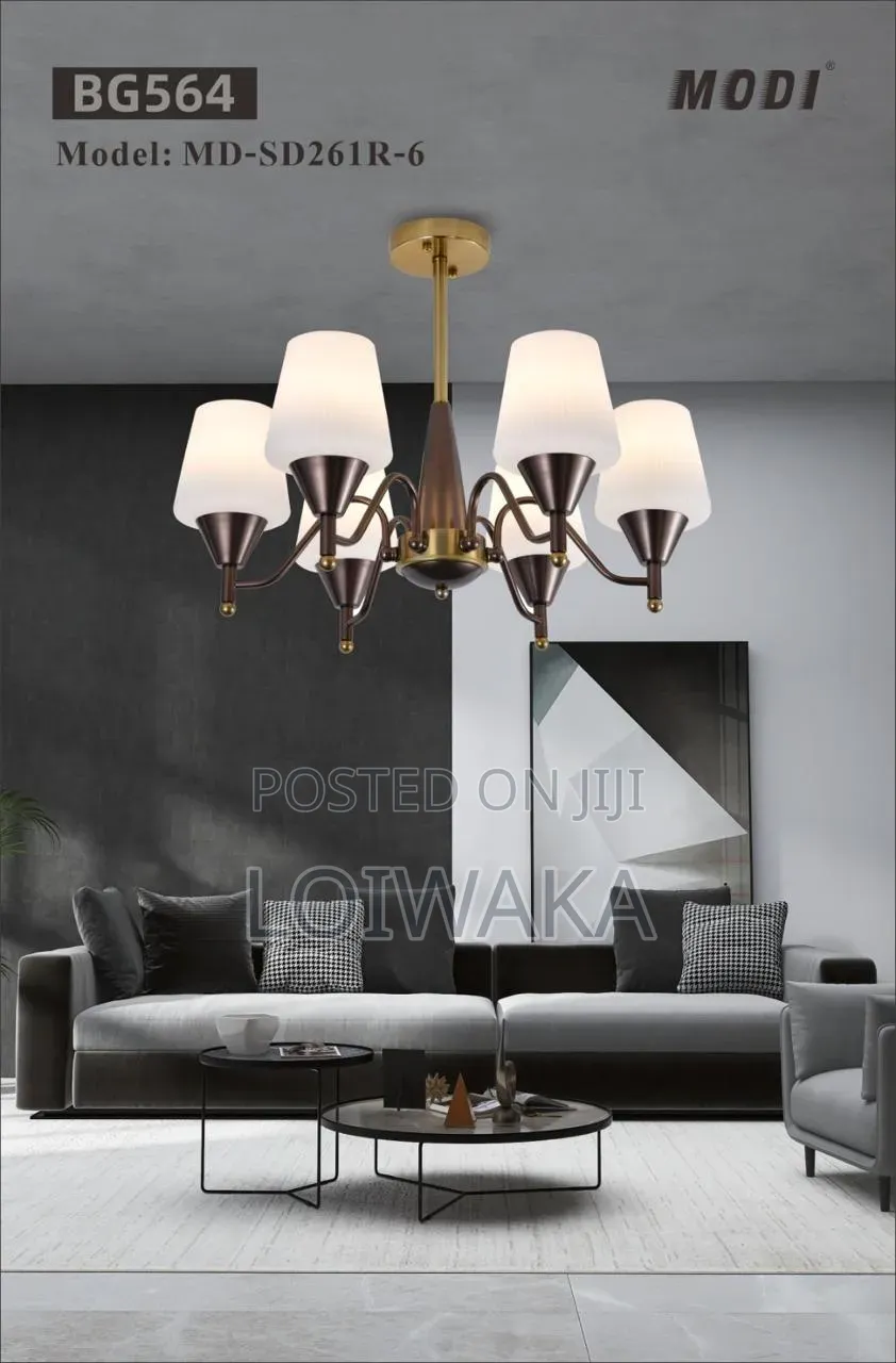 Ceiling Lights/ Chandelier