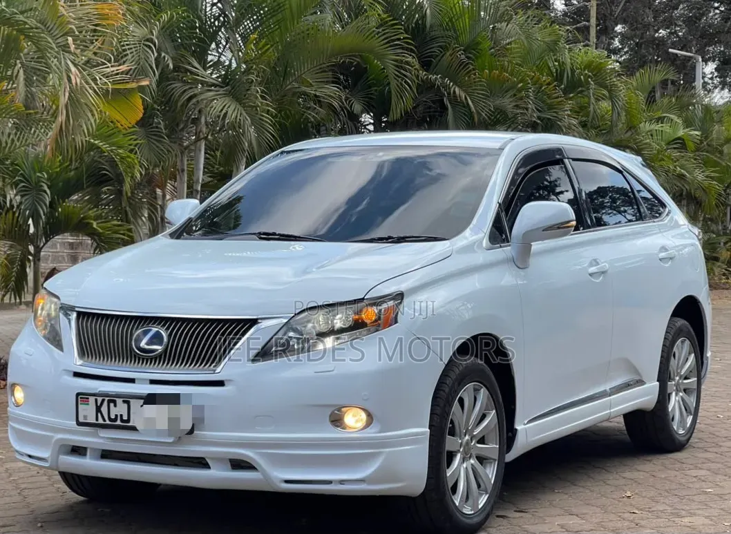 Lexus RX 2010 White