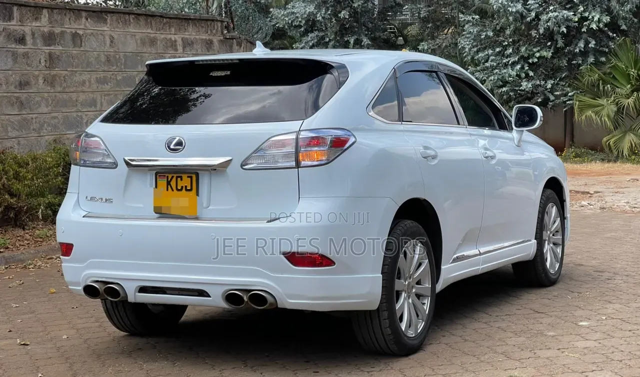 Lexus RX 2010 White