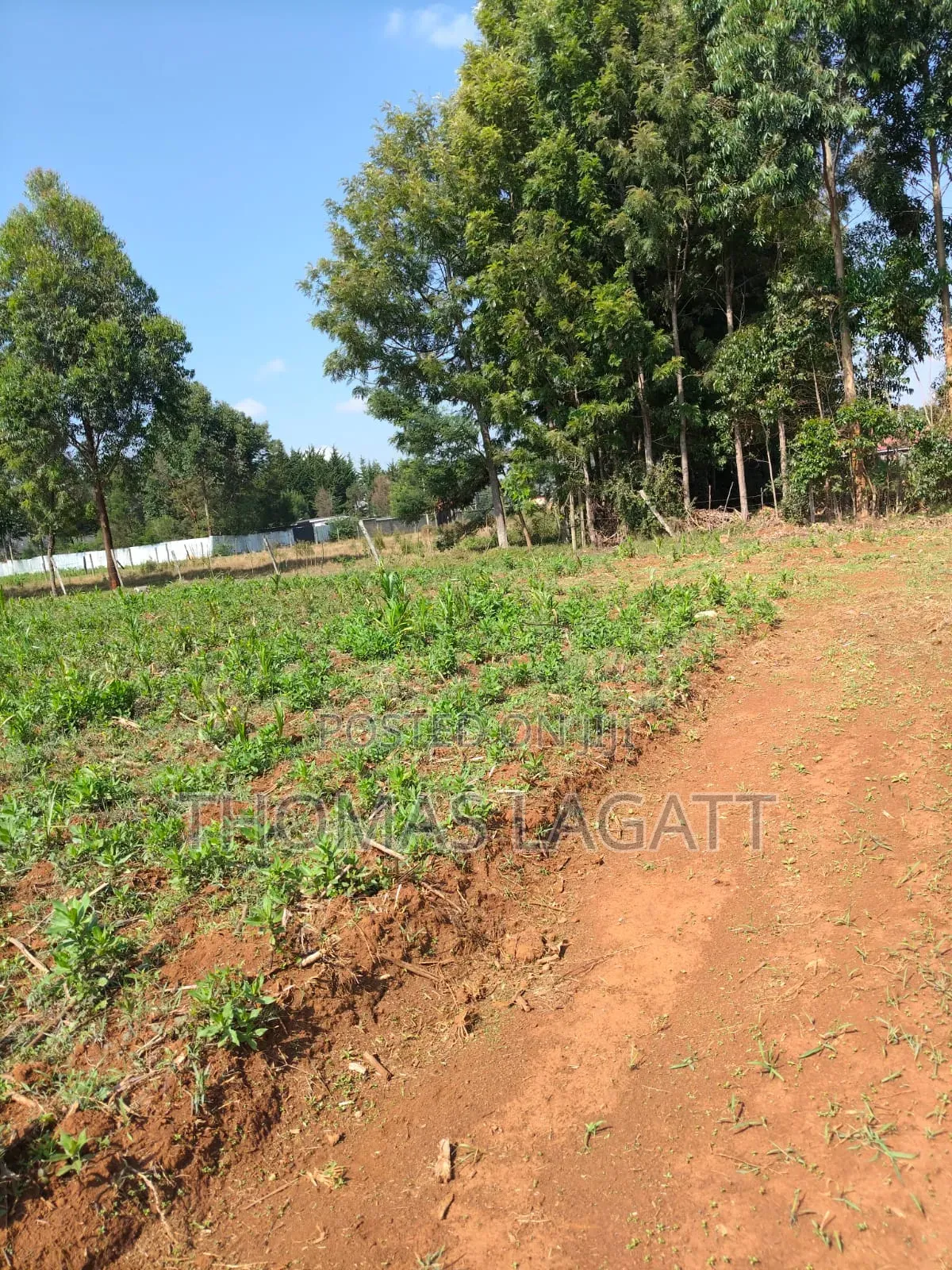 Eldoret Outspan Prime Residential 1⁄8 Acre Plots on Sale