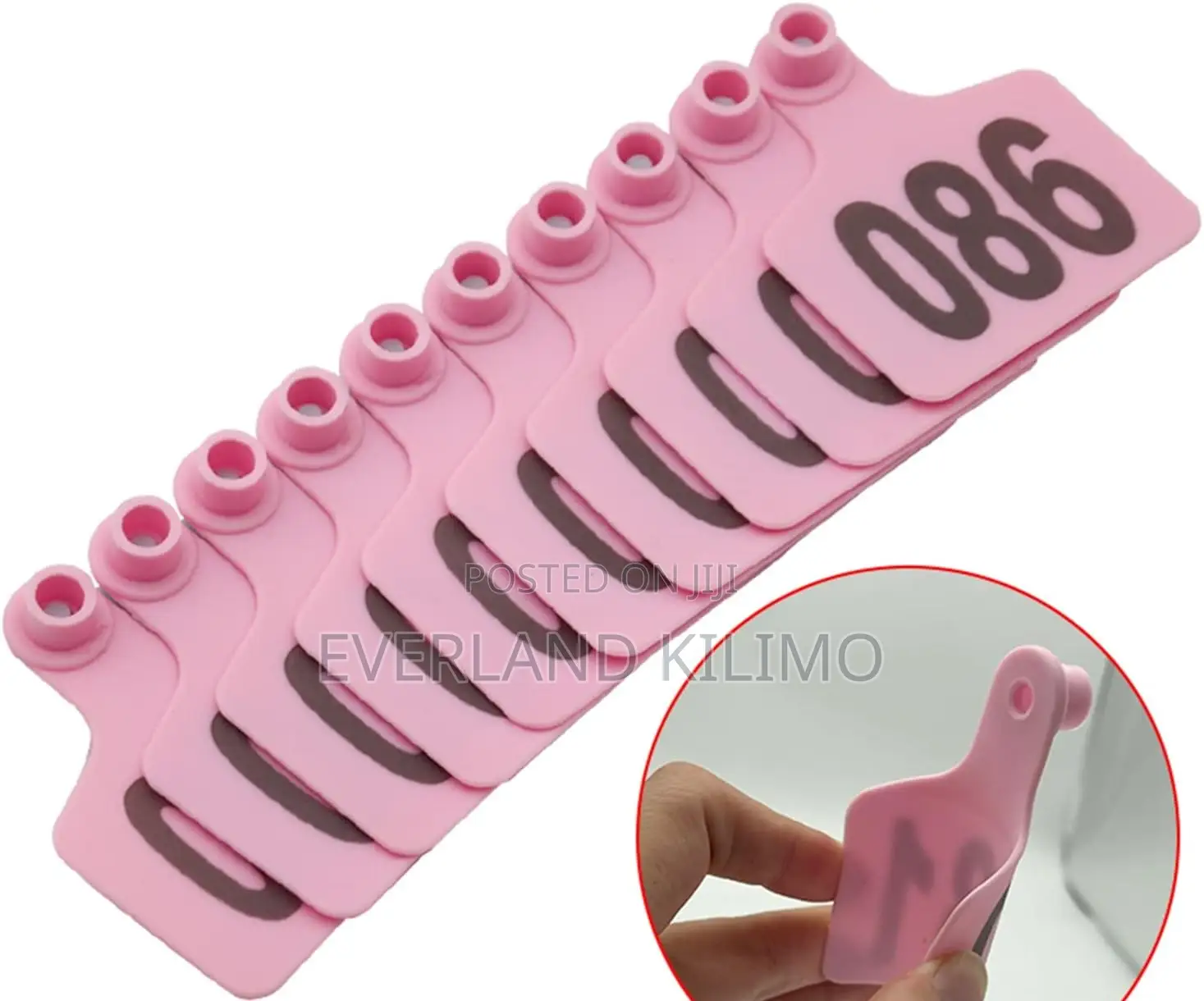 Medium Visible Tag Design for Cows - Numbered