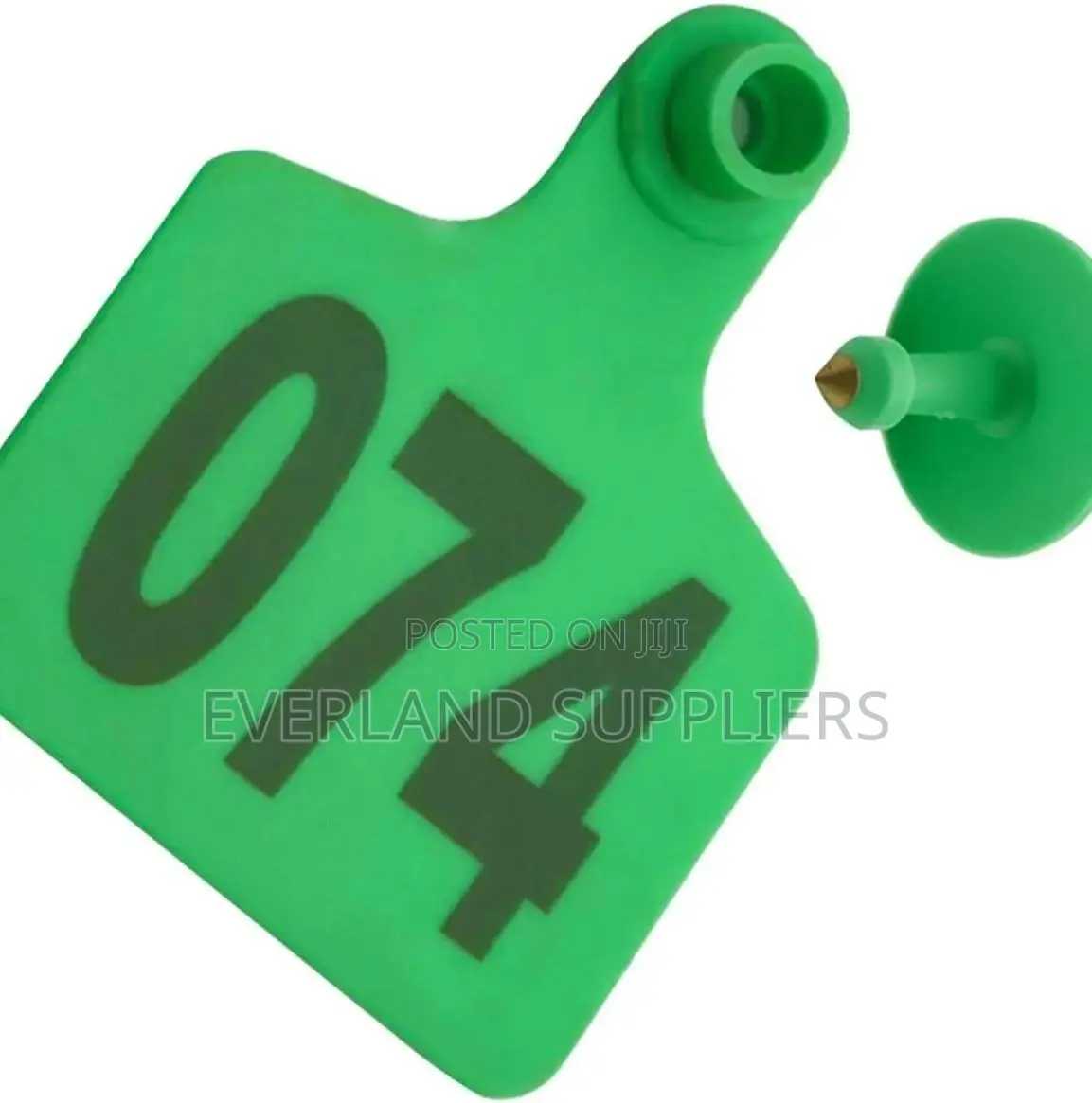 Open-Grazing Cattle Z-Tags Plain