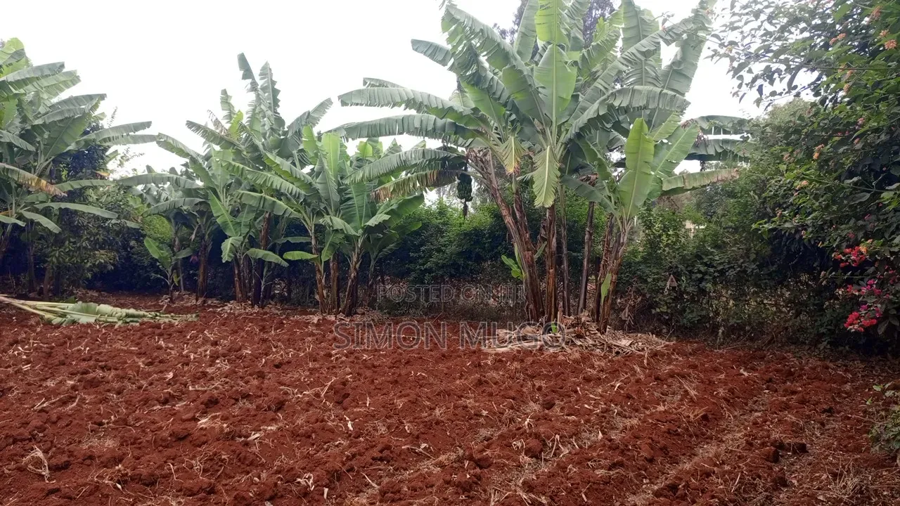 Golden Palm Estate Kiambu Rd Prime Serviced Red Soil 1/4 AC Plot