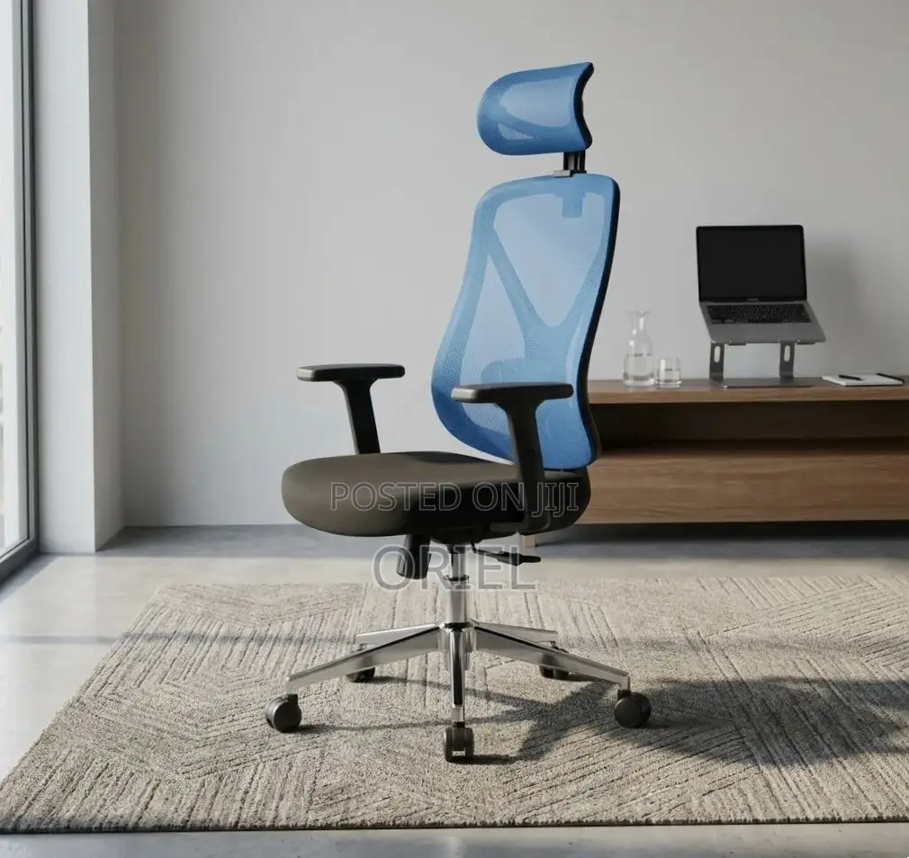 Office Chair : Blue Ergonomic Chair
