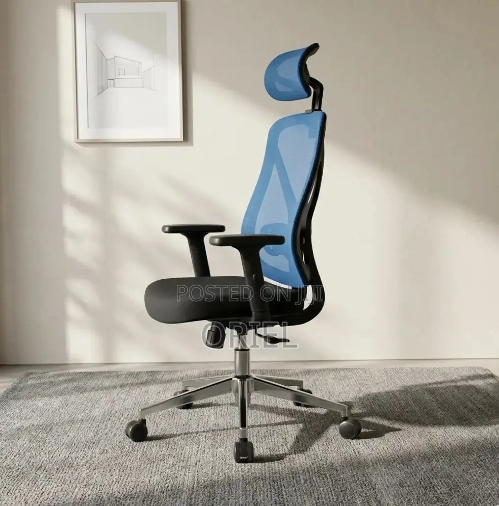 Office Chair : Blue Ergonomic Chair