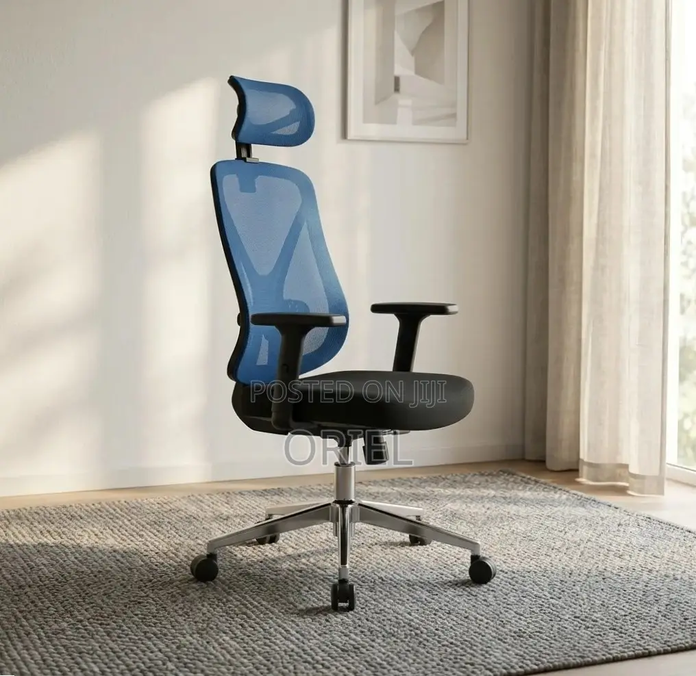 Office Chair : Blue Ergonomic Chair