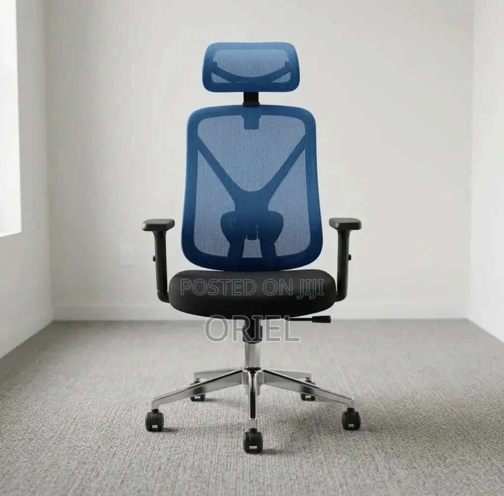 Office Chair : Blue Ergonomic Chair