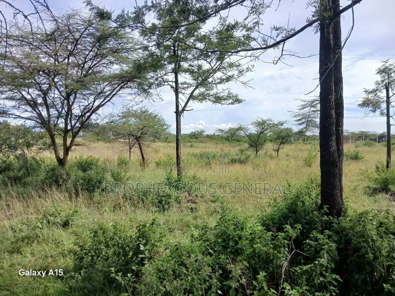 One Acre Residential Land for Sale Masaai Lodge