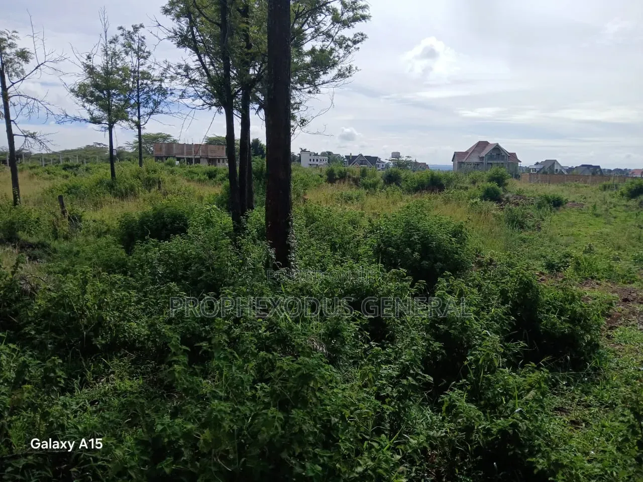 One Acre Residential Land for Sale Masaai Lodge