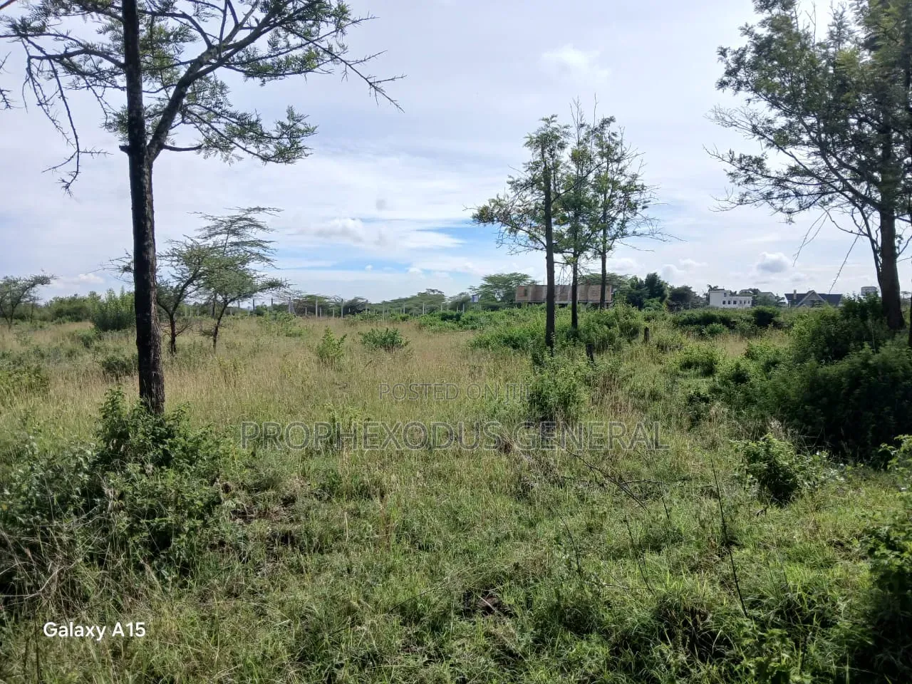 One Acre Residential Land for Sale Masaai Lodge