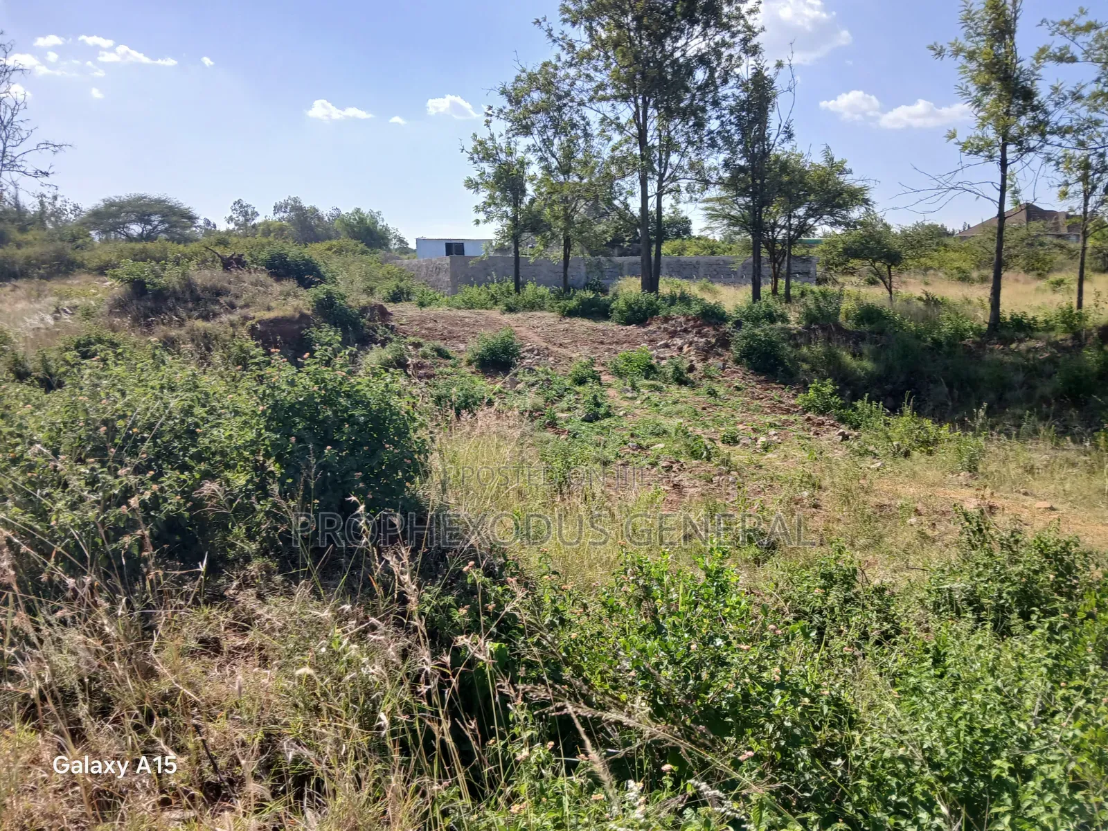 100ft by 100ft Residential Plots for Sale in O/Rongai Masaai Lodge