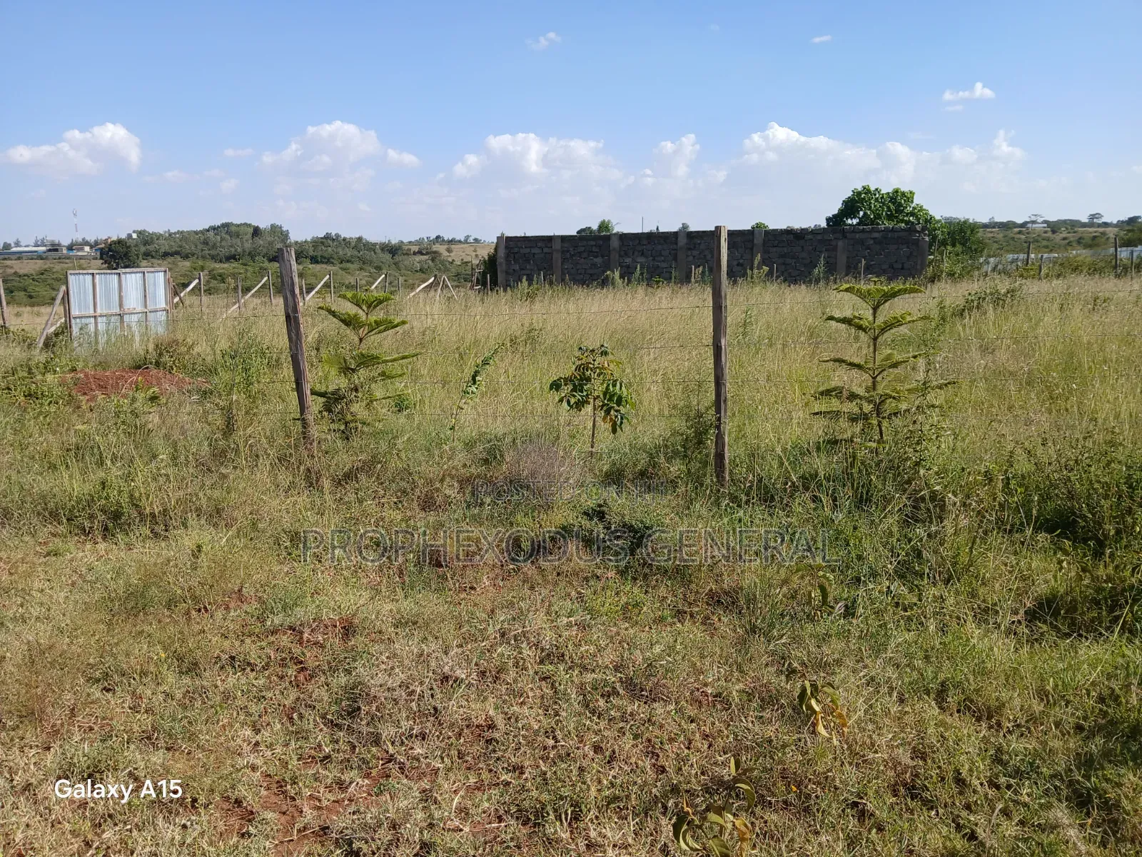 100ft by 100ft Residential Plots for Sale in O/Rongai Masaai Lodge