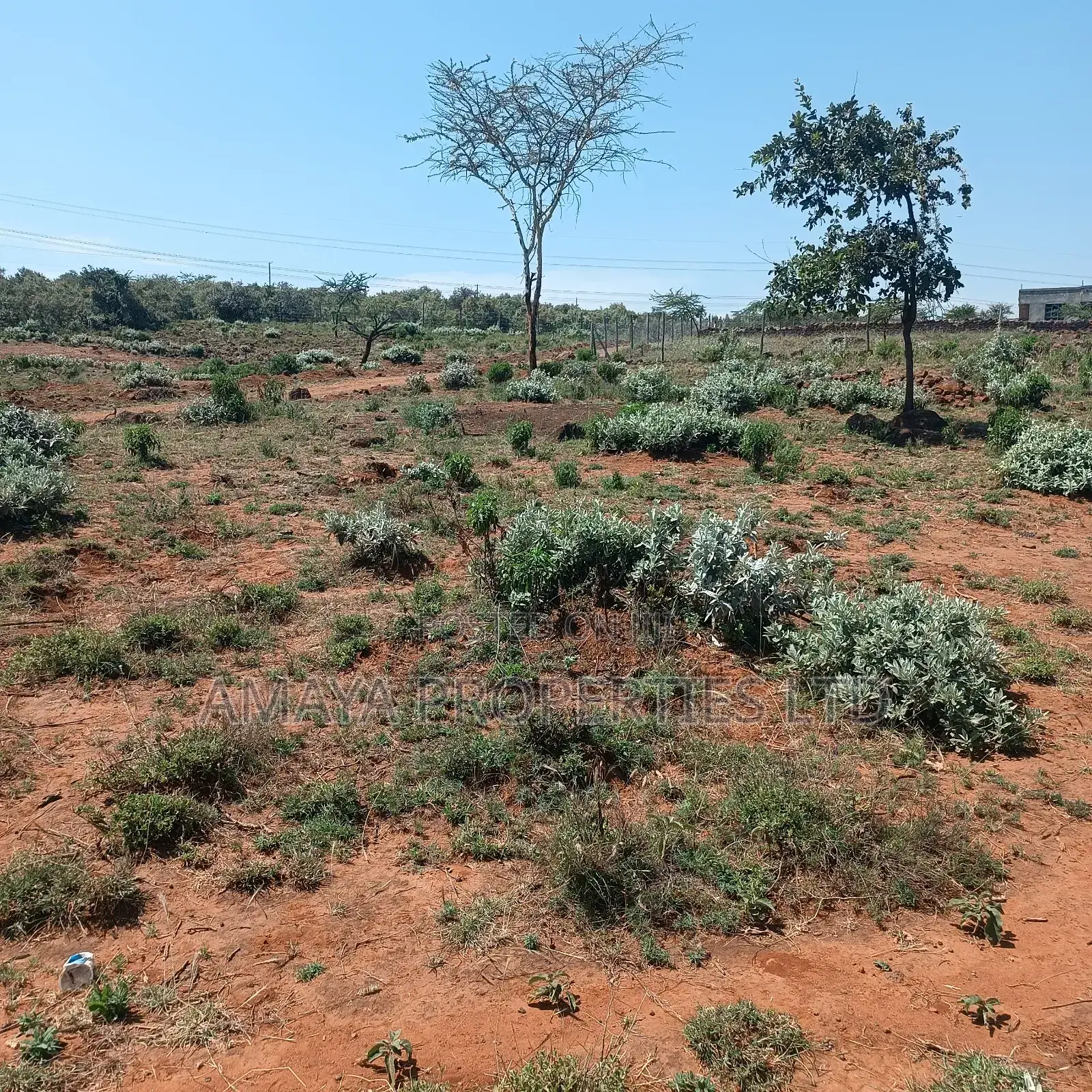 Kimuka Plots for Sale