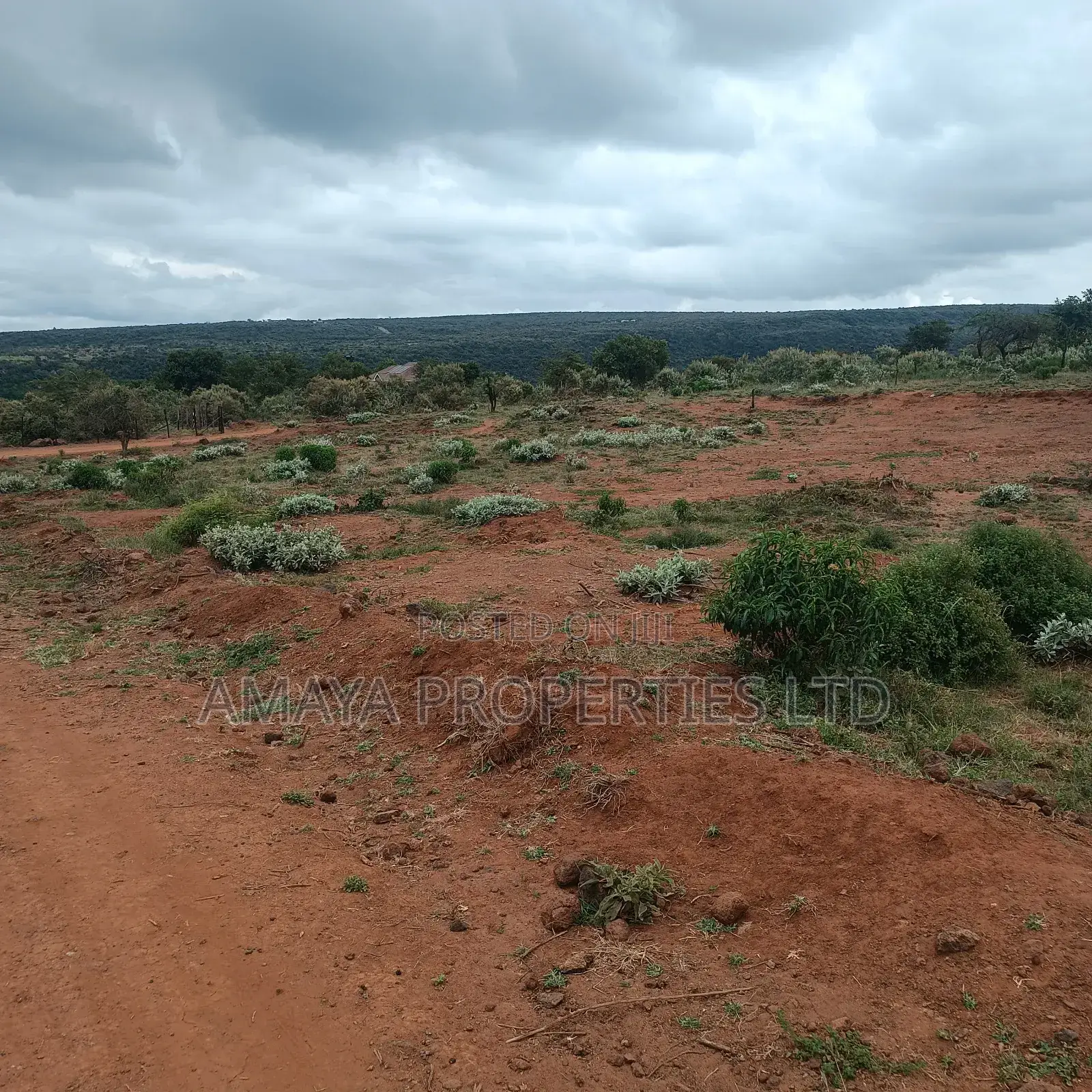 Affordable Plots in Ngong Kimuka Area