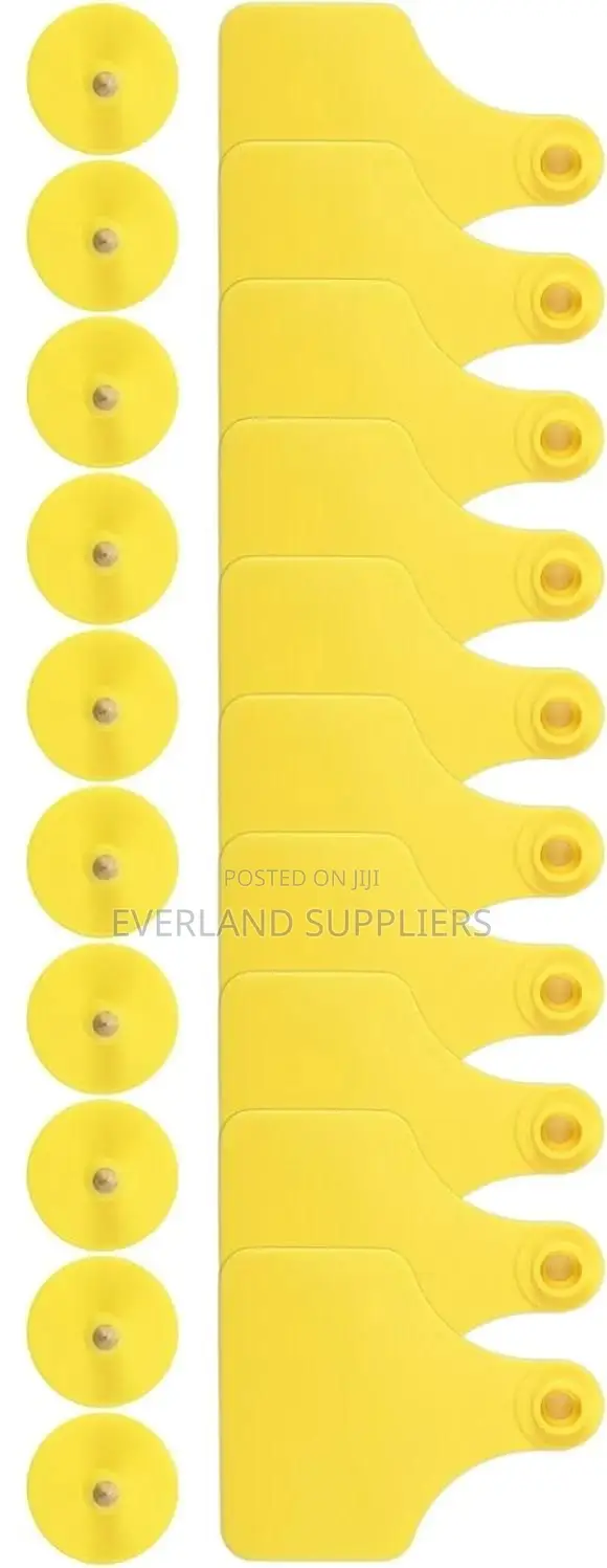Medium Quality Cattle Ear Tags, Durable