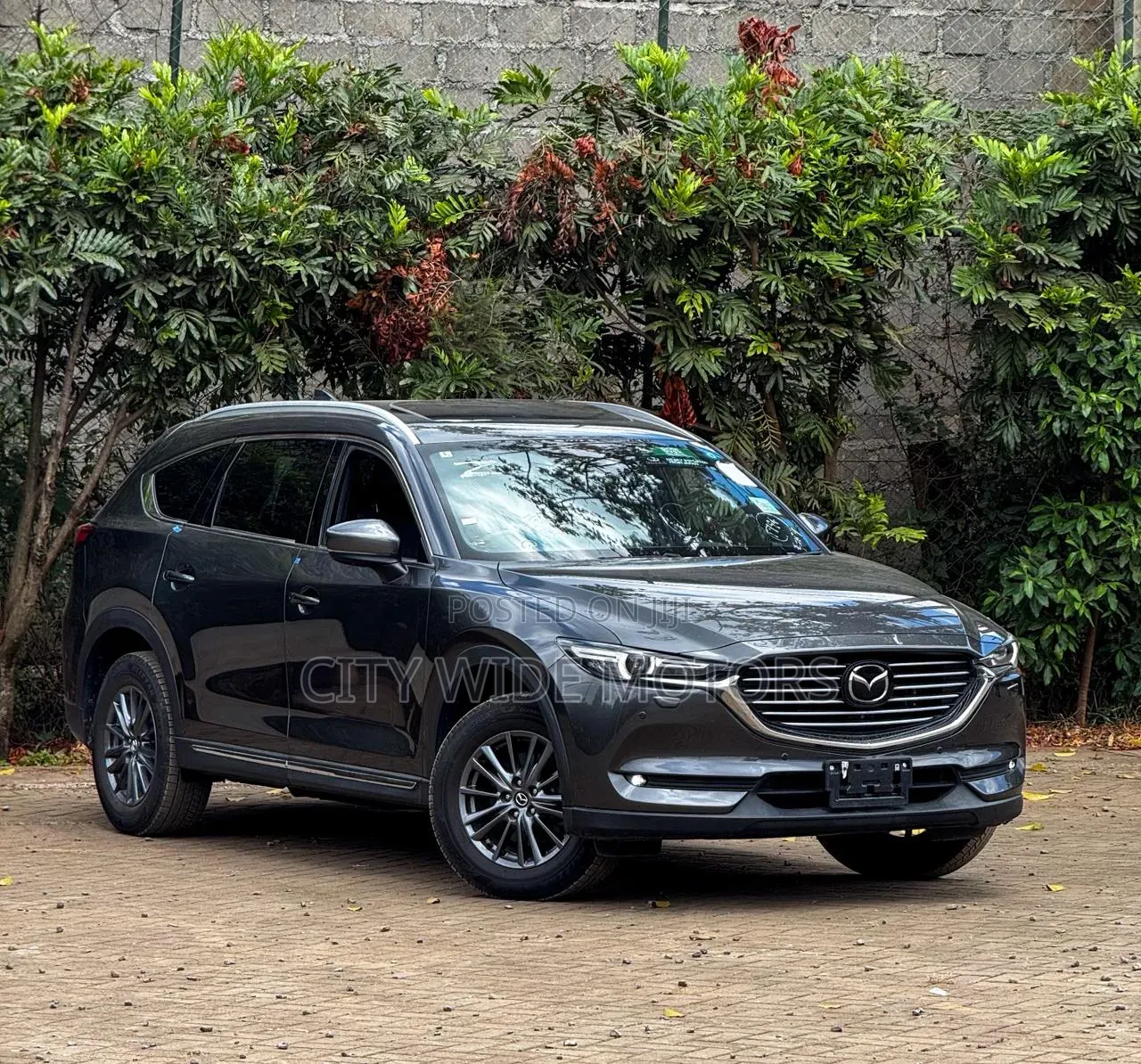 Mazda CX-8 2019 Gray