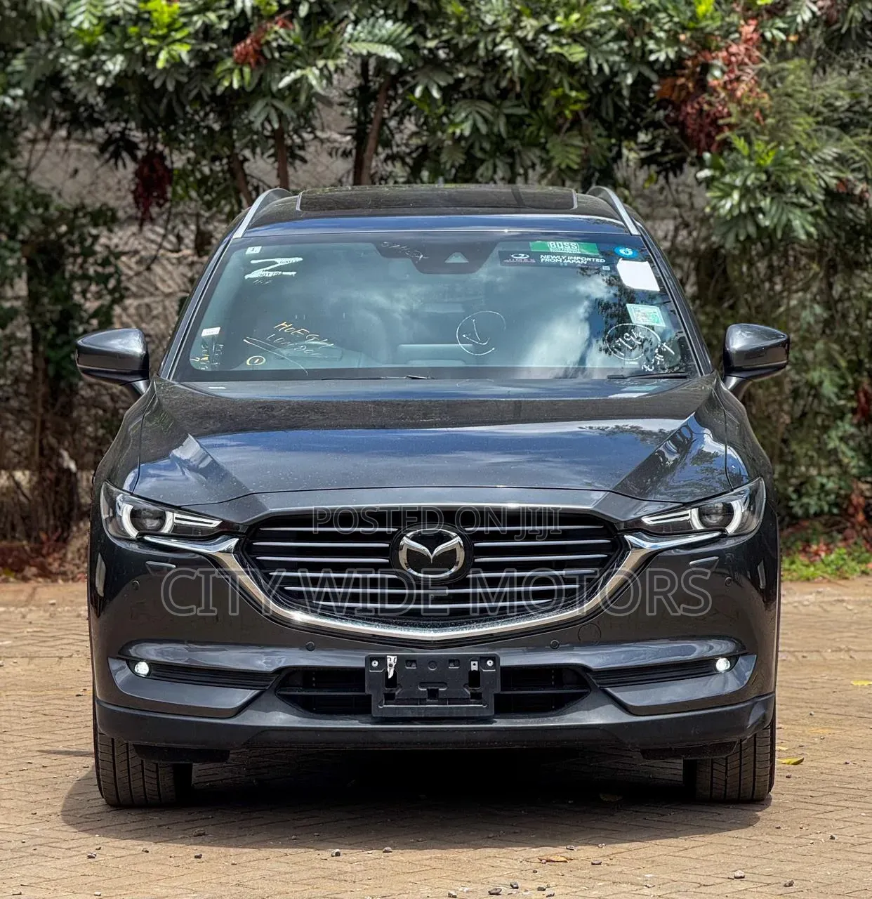 Mazda CX-8 2019 Gray
