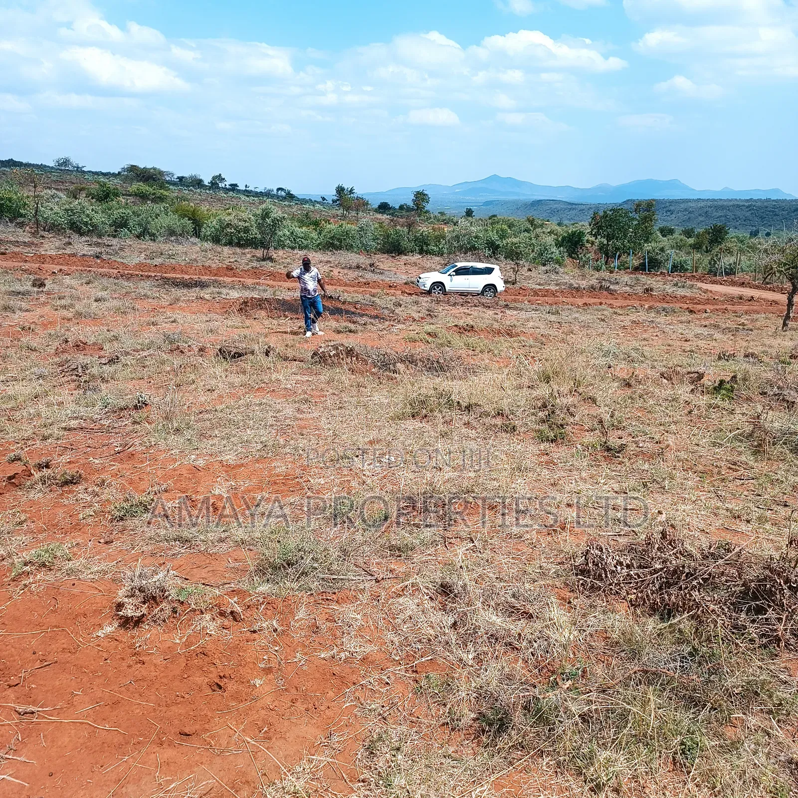 Prime Plots for Sale 100 Metres Off Tarmac