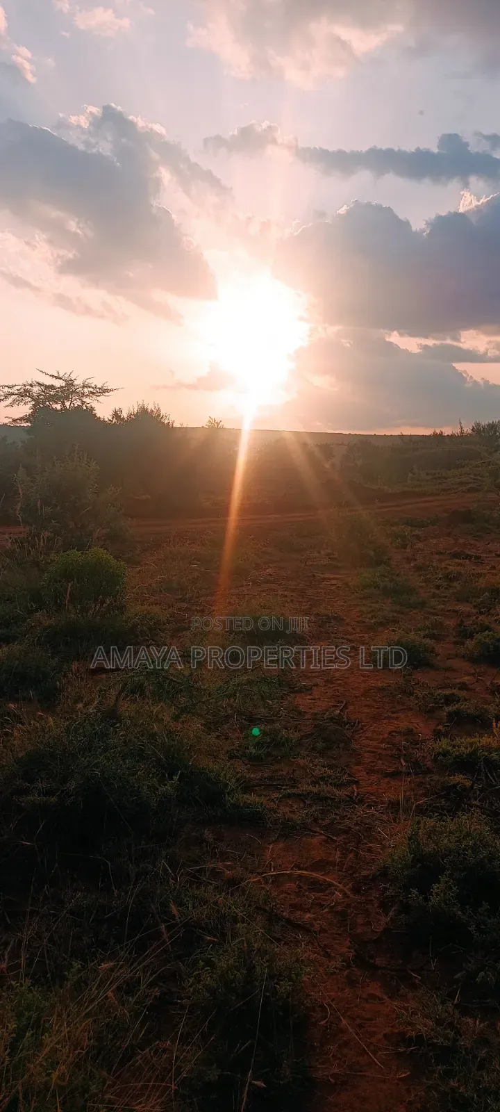Affordable Land for Sale in Ngong Kimuka