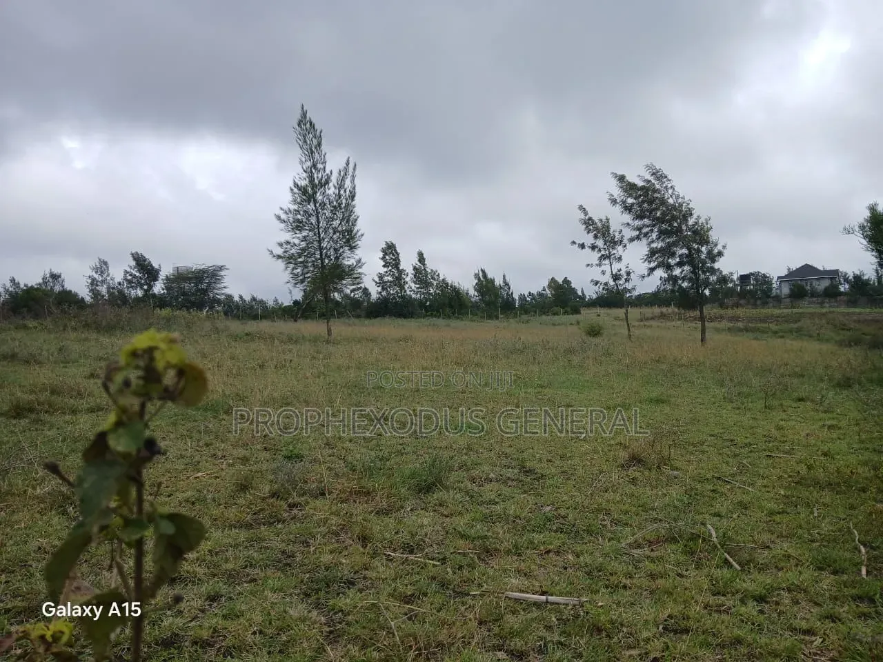 50x100 Plots for Sale Ln Ngong Kimuka.