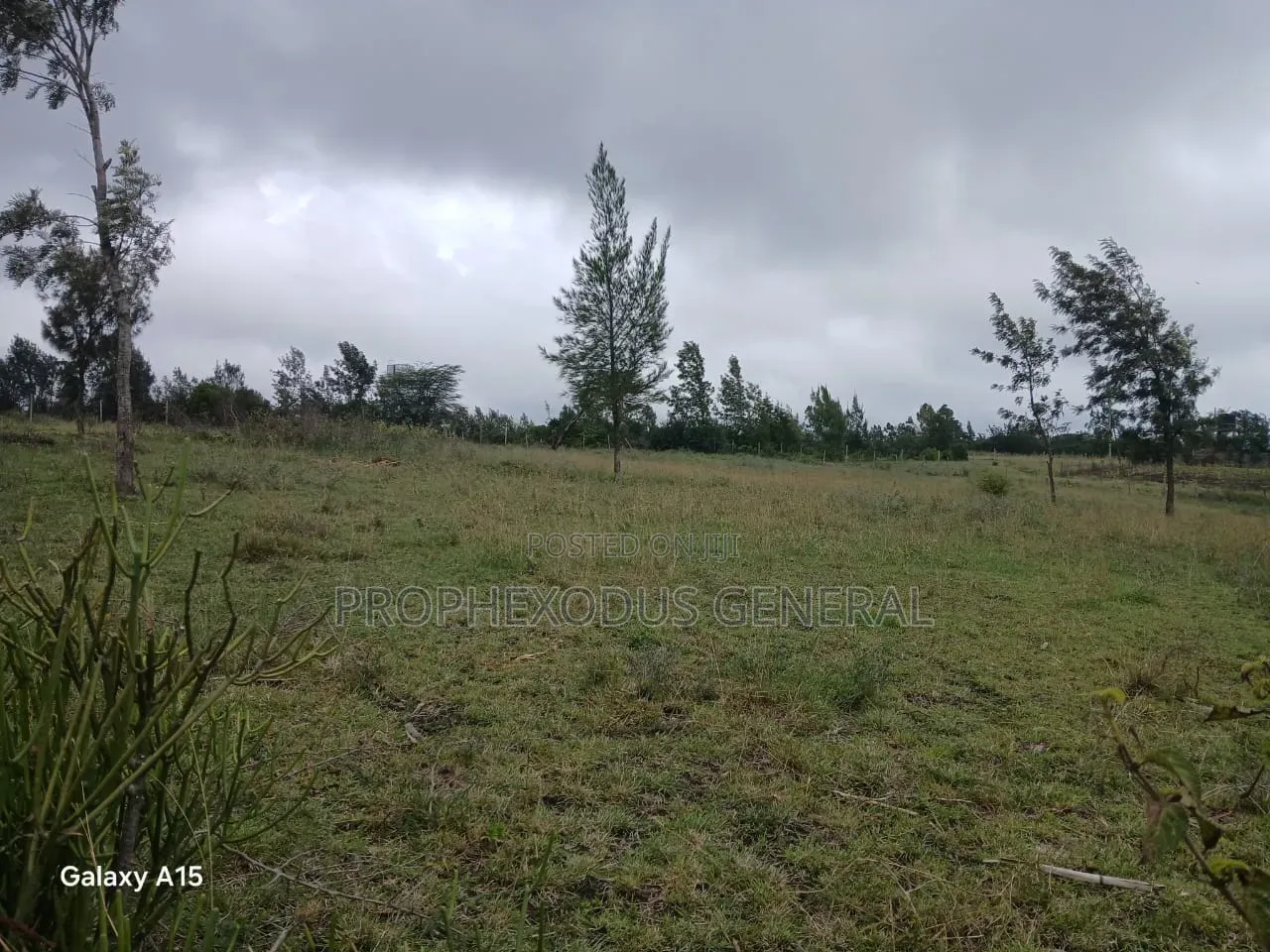 50x100 Plots for Sale Ln Ngong Kimuka.