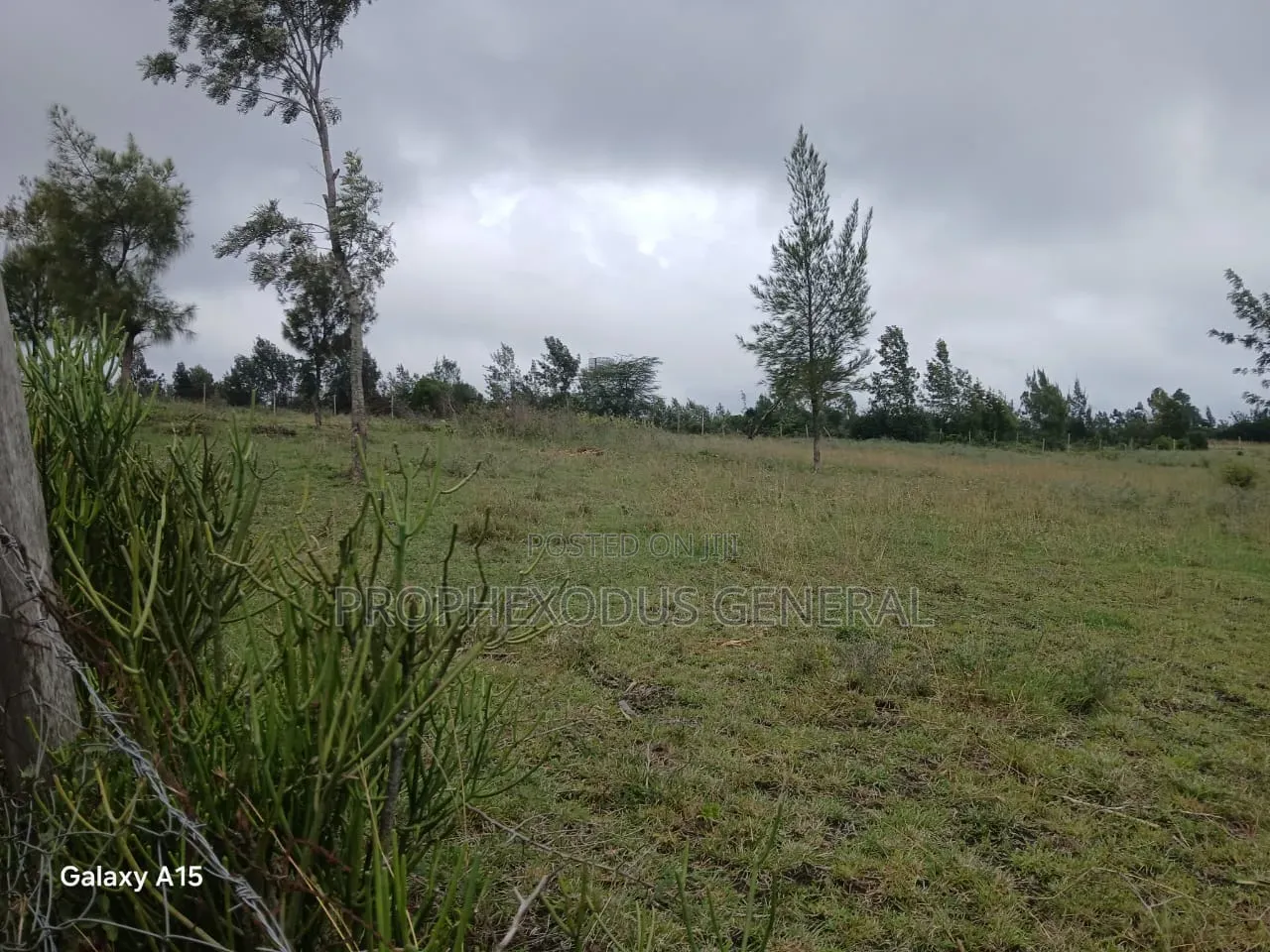 50x100 Plots for Sale Ln Ngong Kimuka.